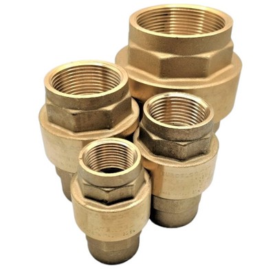 Picture of 1¼" BSPP brass spring operated check valve with polyacetal disc