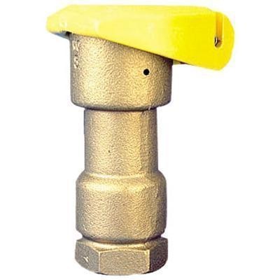 Picture of Rain Bird 1" brass swivel Elbow for 55DK. 1" female x 1" male outlet